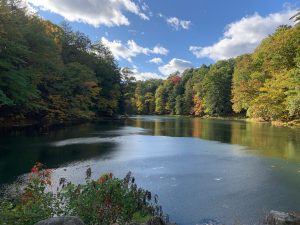 Yaddo Pond