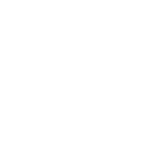 Leadership Tech Valley logo